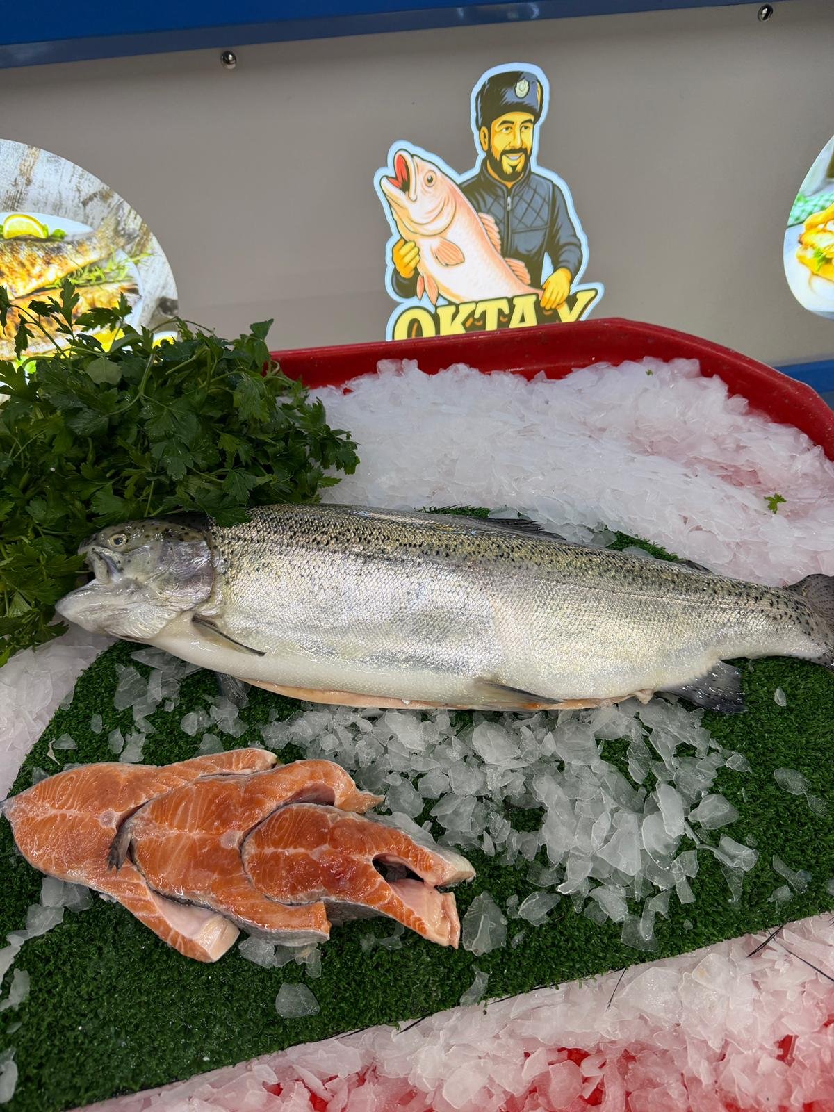 Somon Balığı (Taze – Günlük Satış)